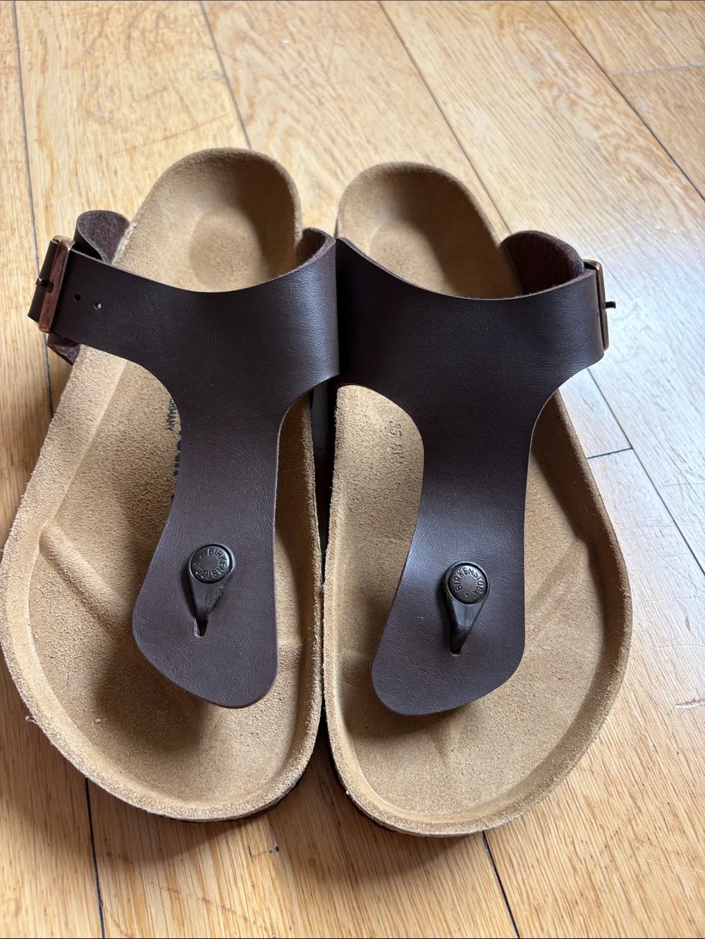 Men’s Birkenstock Ramses in Dark Brown Size 45